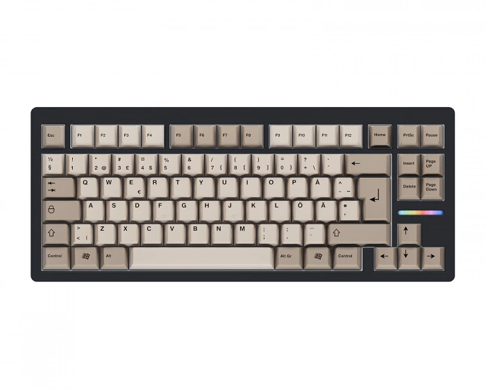Wooting 80HE ISO + Retro Keycaps